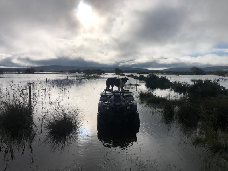 'Farmers will have to get boats' Laois river Nore cleared of debris