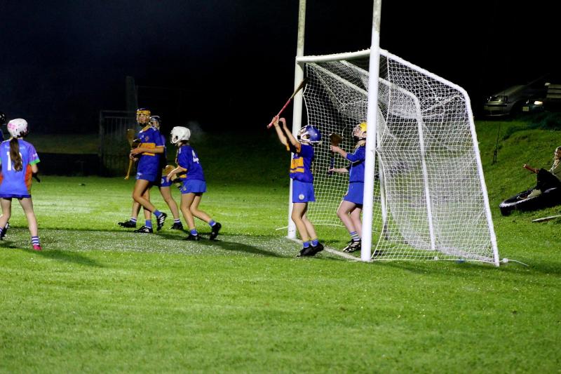 Score a Christmas prize in Laois Camogie club's festive raffle - Laois Live