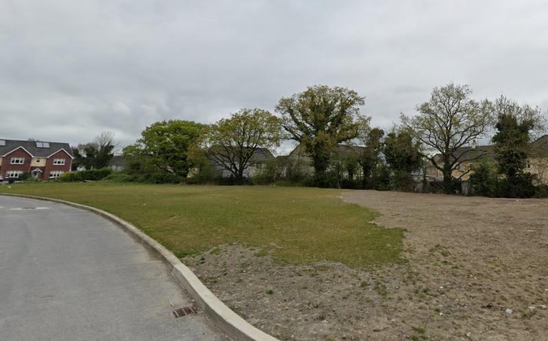 Portlaoise residents fear trees falling on house in storms
