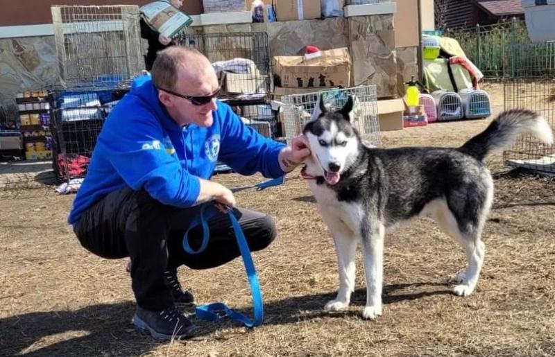 Dog  charity lifesaver in Laois in line for national volunteering award