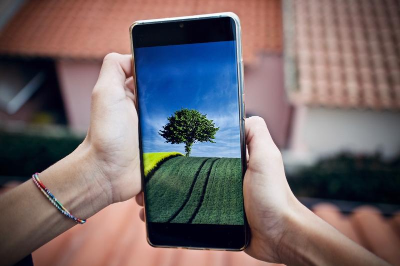 Mobile phones could monitor greenhouse gas from Laois cows