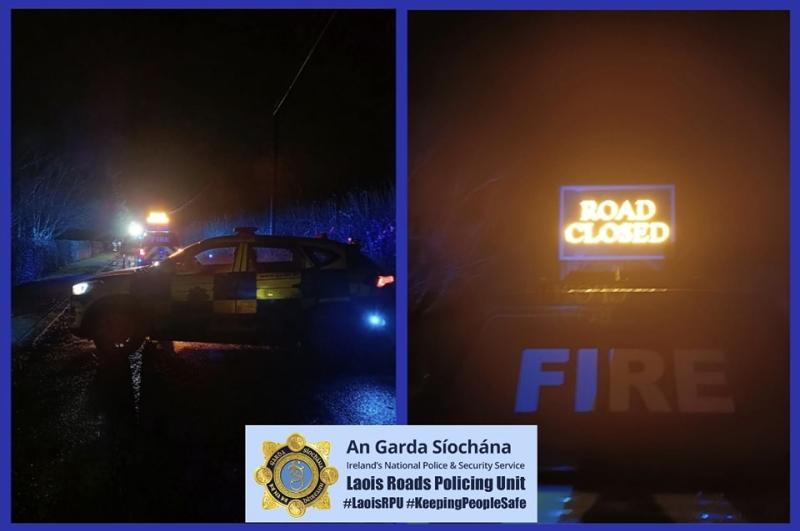 Emergency services dealing with fallen tree in Laois