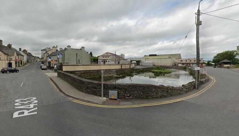 Swimming and kayaking in Laois town pond proposed by consultants