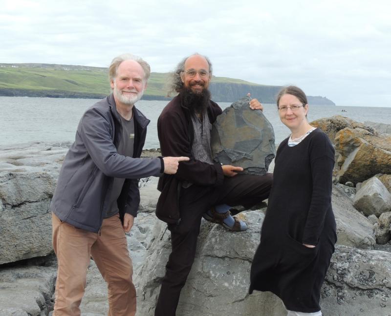 ‘Extraordinary’ 315-million-year-old fossil sponge found near the Cliffs of Moher