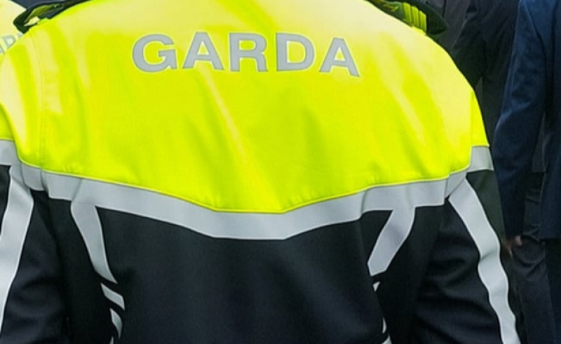 Two men appear in Kildare court in relation to suspected €105k cocaine haul 