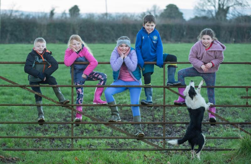 'Walk with us' - Laois locals urged to wear wellies to support bereaved farm families