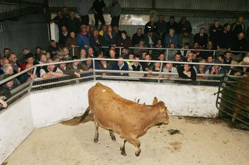 Laois town in line for boost if mart can be reopened