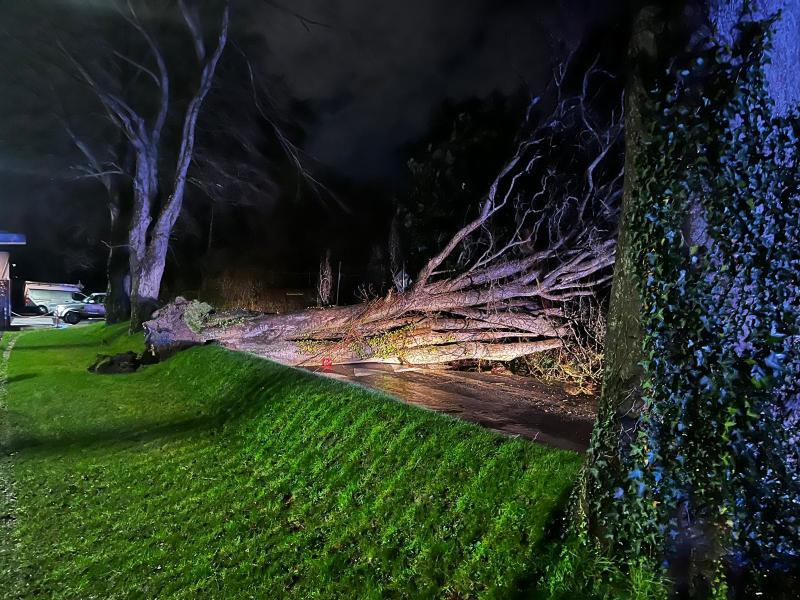 Yellow warning in place for Waterford as Storm Jocelyn makes presence known 