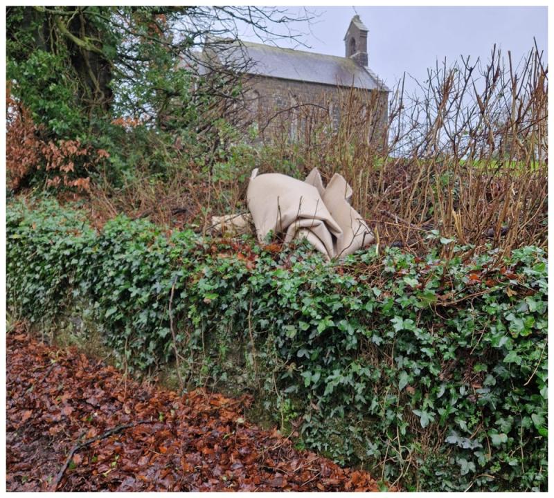 Return of illegal dumping at top Laois tourist site
