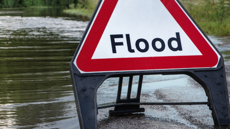 Residents of a Portlaoise estate 'just terrified' of repeat flooding