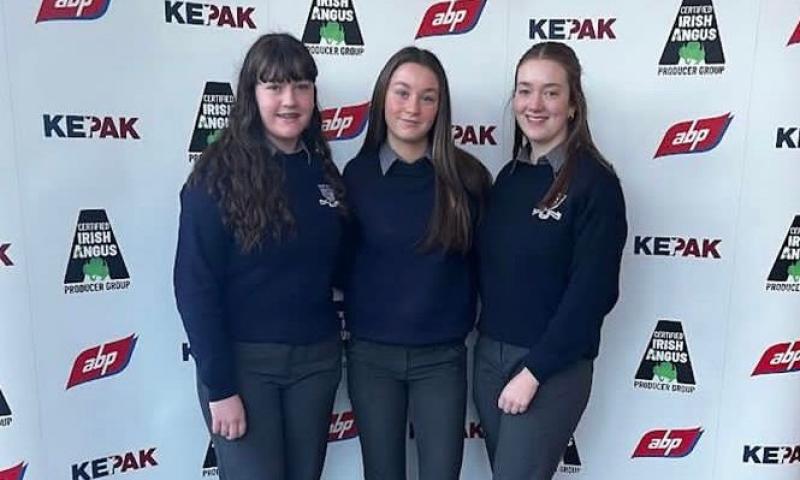 Laois students reach semi-final to win five purebred Irish Angus calves