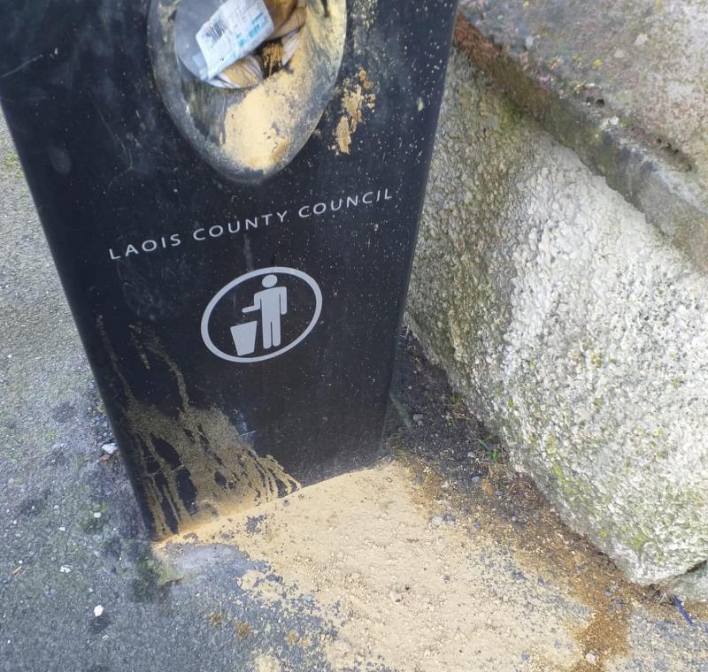Tidy Towns anger in Laois after bag of ashes dumped 