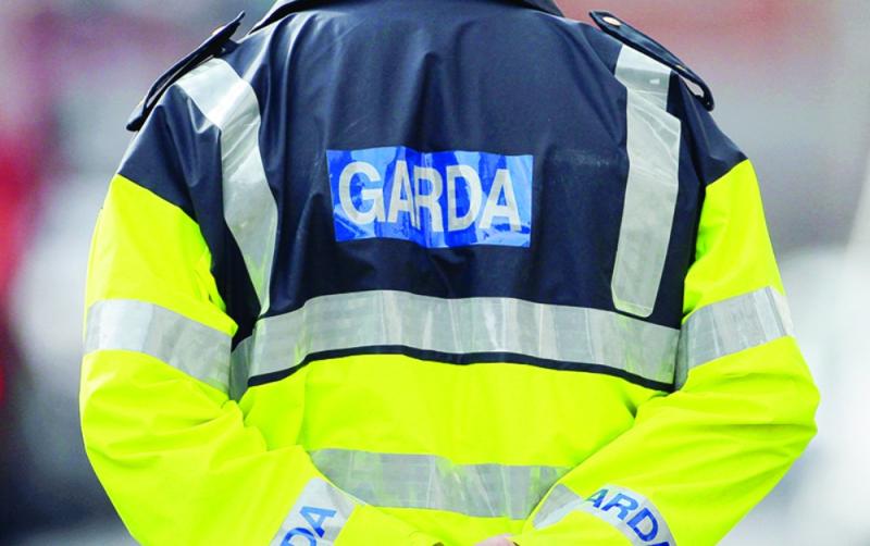 Garda investigation launched  following discovery of body