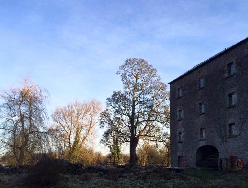 Laois historic structures receive &euro;171,000 in funding 