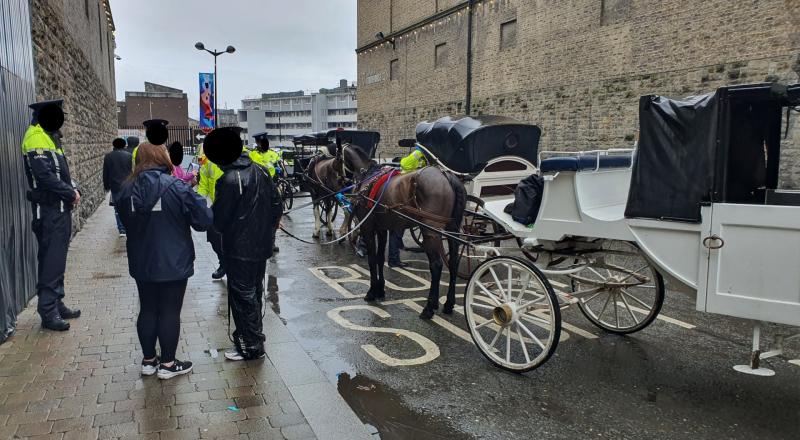 Gardaí arrest two operators of horse-drawn carriages for 'intoxicated driving'