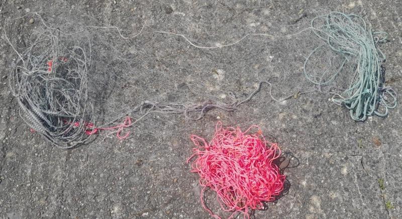 Dublin men convicted and heavily fined for illegal fishing in Laois