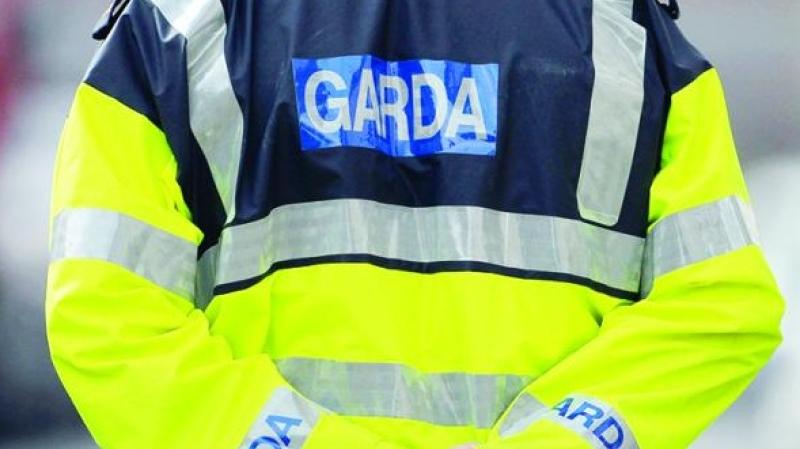 Gardai investigate overnight burglary of Laois business
