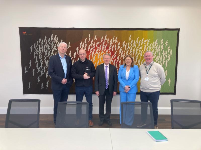 Energy park and amenity use potential for Laois bogs around Portlaoise