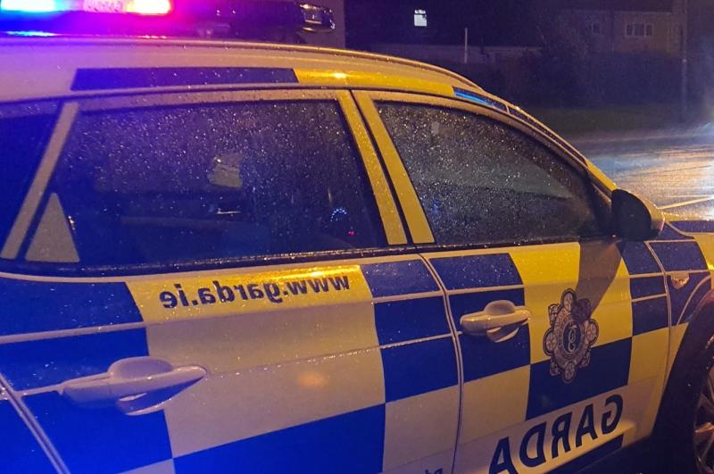 Gardaí make shocking discovery after stopping erratic driver 
