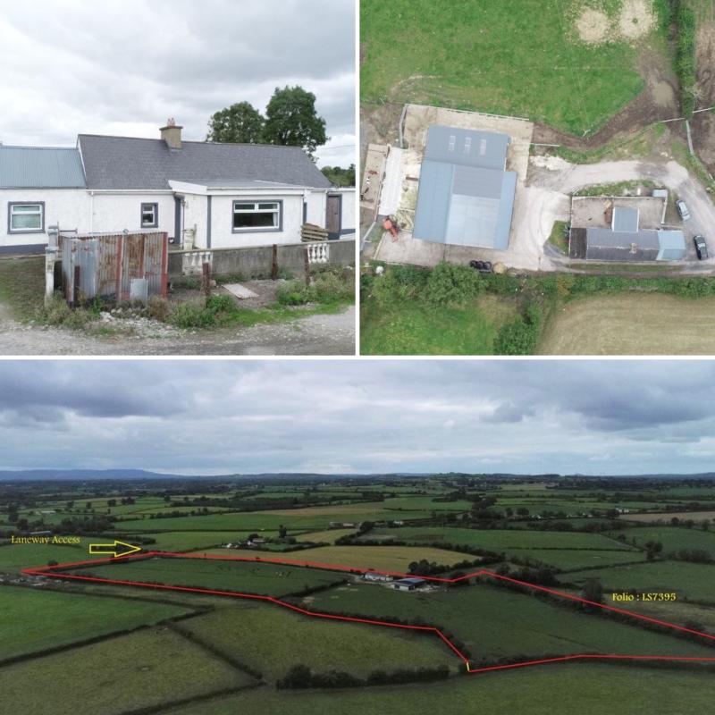 Pictures: 14 acre Laois farm with milking parlour on  the market  for €450k