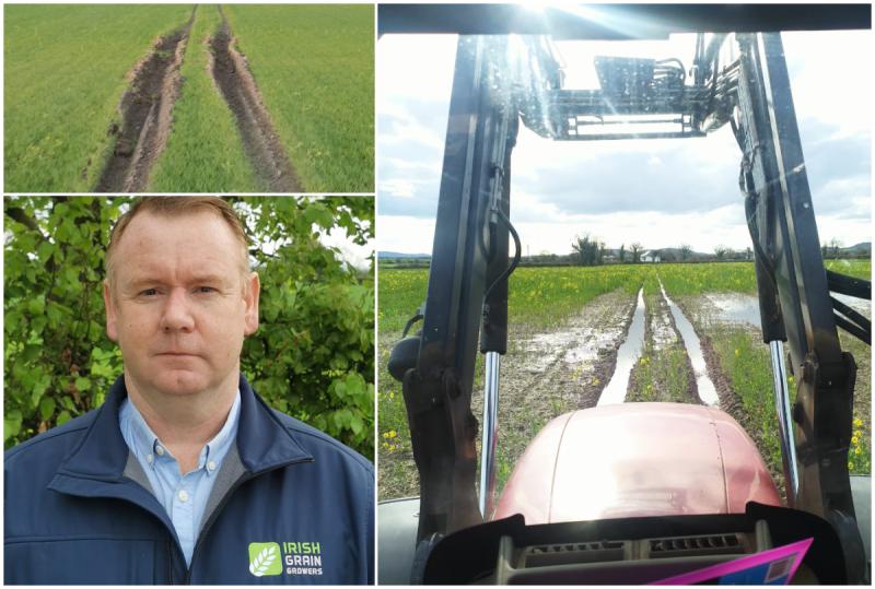 farming farming weather