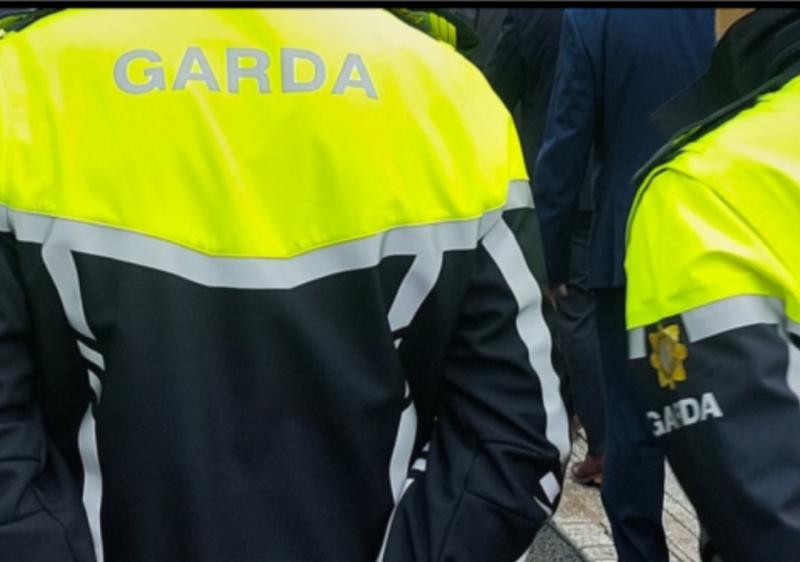 Laois gardai leading investigation after gun is fired at house in Midlands