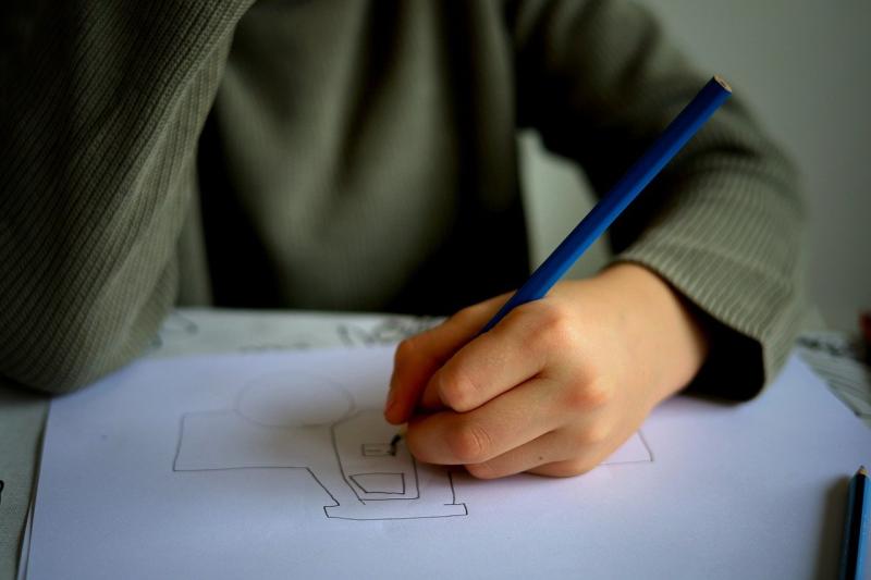 Laois special schools receive additional supports 