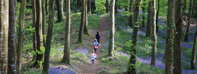 Slieve Bloom Walking Festival returns to Laois this May Bank Holiday weekend 