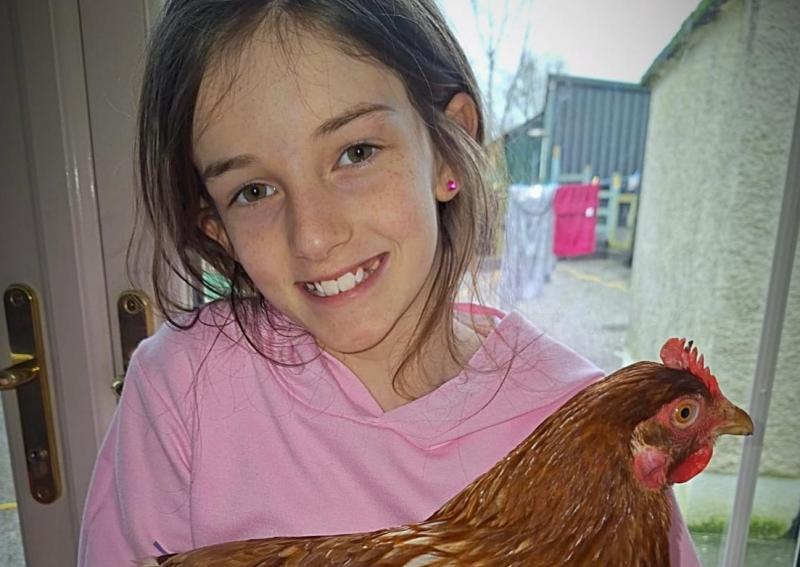 Laois girl starts her own egg delivery business after rescuing hens 