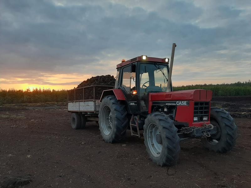 Do you have a story about a Laois bog?