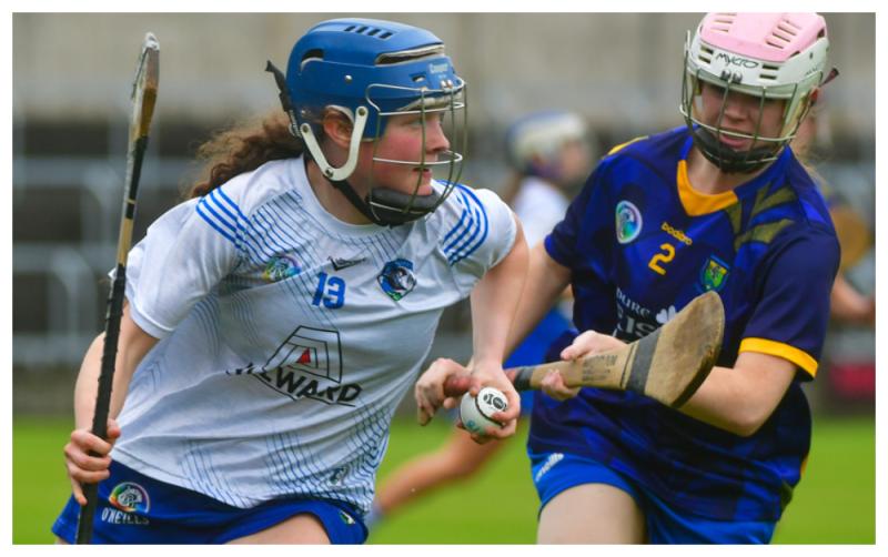 Laois Camogie team put seven goals past Wicklow to tee up Dublin date