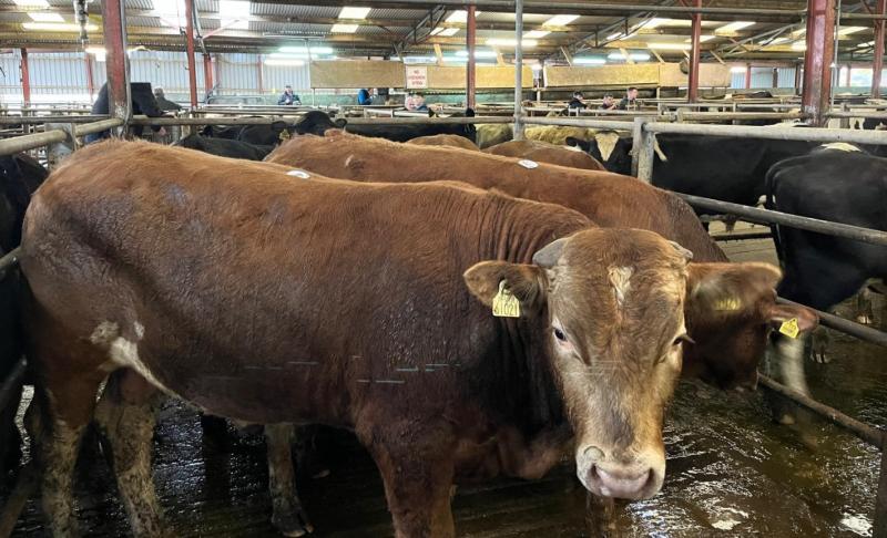 Busy Laois livestock mart sold as going concern