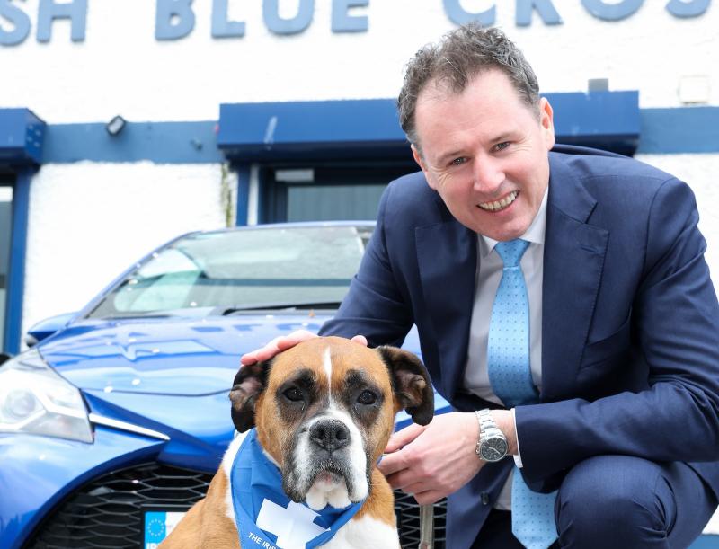 Minister bans remote-controlled electronic shock collars on dogs and cats