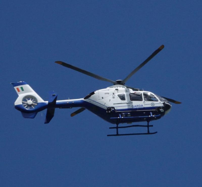 Gardaí renew appeal as suspected burglary gang take to fields in Laois