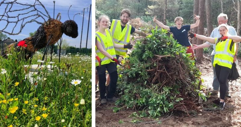 Three Laois biodiversity projects awarded nearly €30,000
