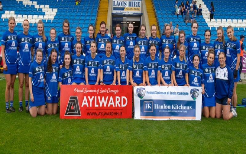 Higgins to the fore as Wexford leave it late to crush Laois Camogie's Leinster dreams