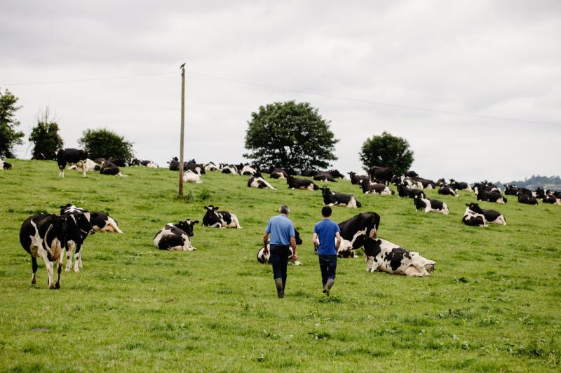 Don't lose a slice of your farm