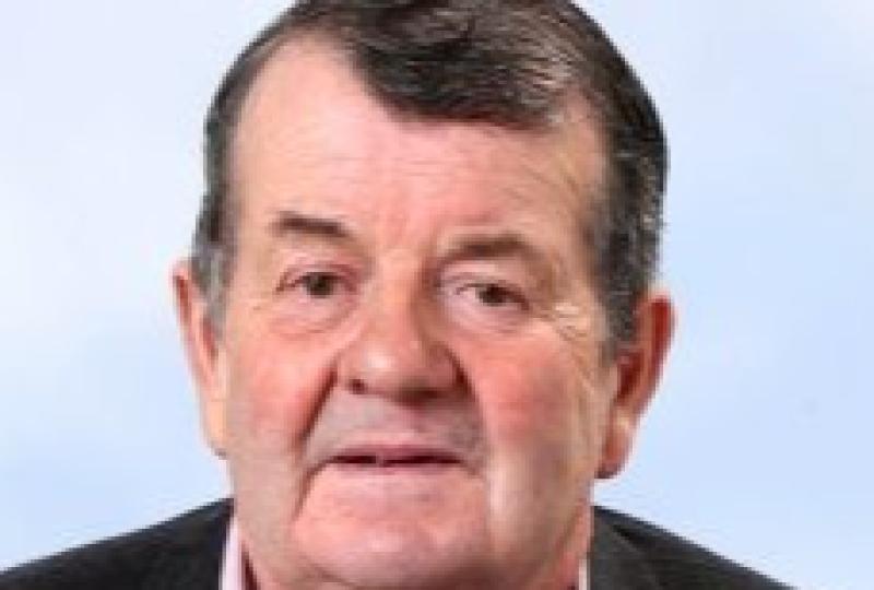 Laois Local Election Q & A: 'Fresh thinking and new ideas needed'