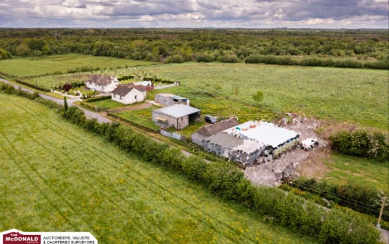 Online auction to be held for four lots of scenic Offaly land perfect for equestrian farm