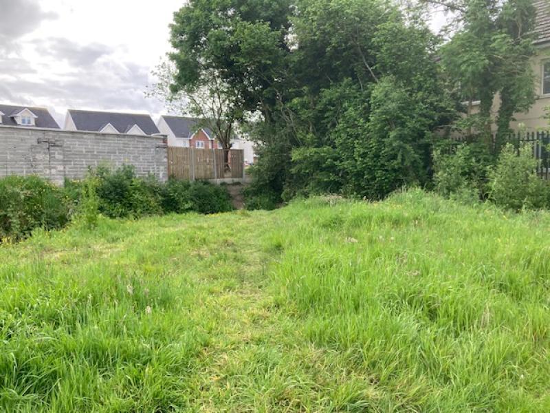 Laois football club  member 'mooned' at and verbally abused