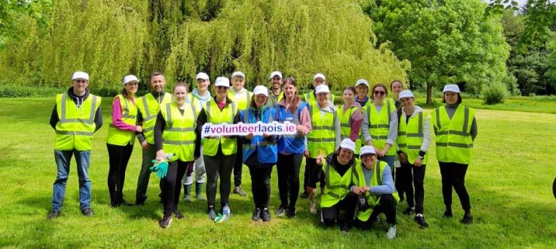 Portlaoise hotel staff volunteer to tackle invasive species growing wild