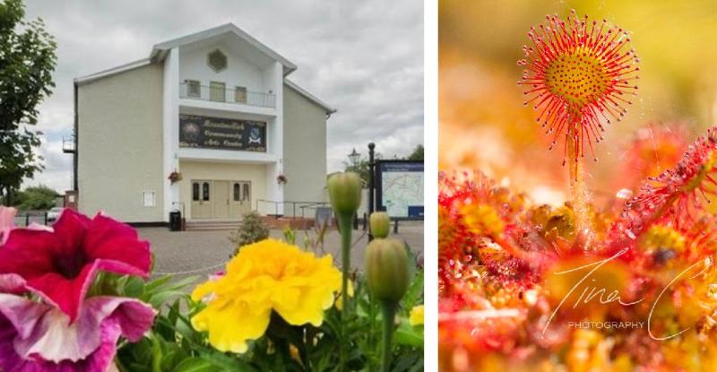 Laois town to host new summer arts and heritage festival