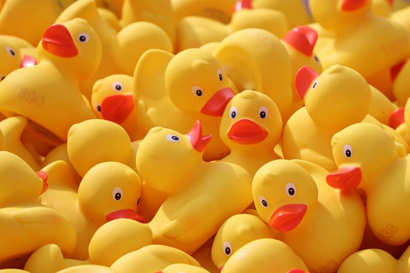 Portlaoise business to host virtual duck raise in aid of Laois Down Syndrome 