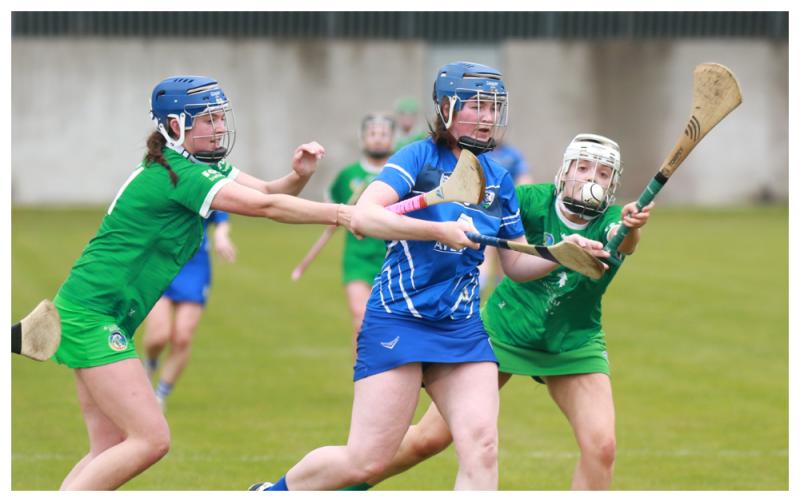 Limerick junior camogie side suffers championship defeat to Laois