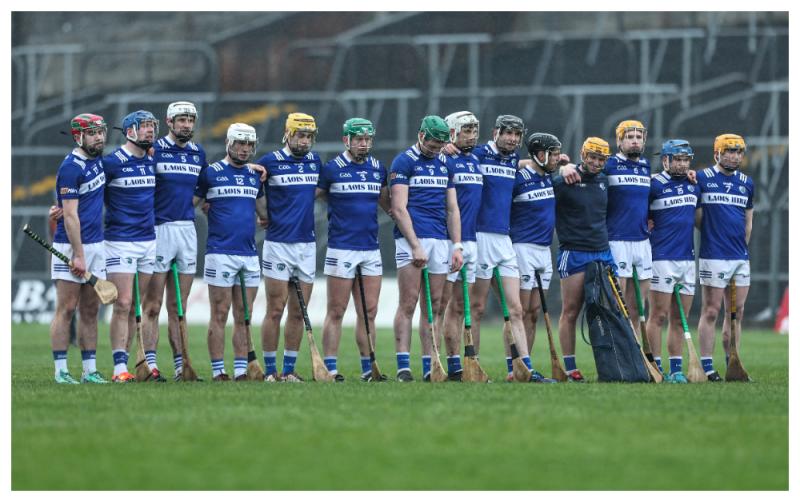 Highs and Lows: Laois Senior Hurlers' 2024 campaign