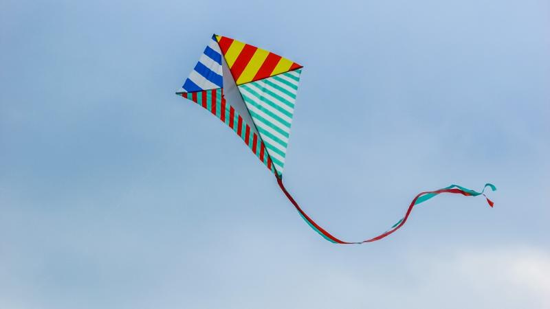 Laois residents fly kites in solidarity with Palestine