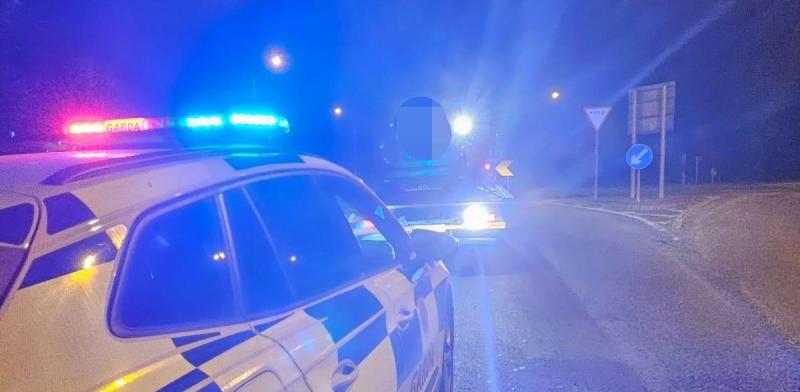 Laois Gardaí say motorist driving erratically tried to give false details 