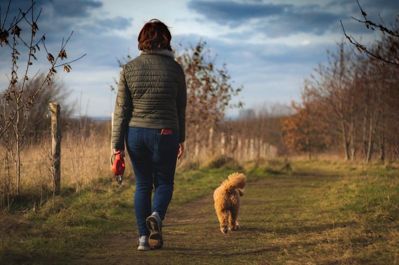 Laois people will walk their dogs for local charity fundraiser