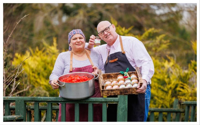 Laois Local Enterprise Office - The right support at the right time