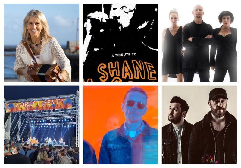 Forest Fest fires up this weekend in Laois with The Human League, The Cult and many more
